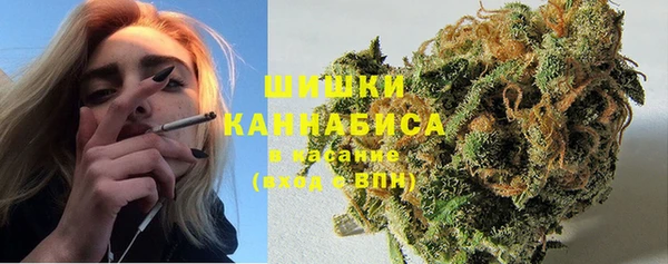 мдпв Верея