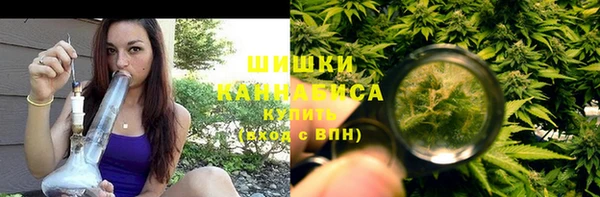 мдпв Верея