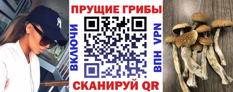 Псилоцибиновые грибы ЛСД  купить наркоту  Демидов 